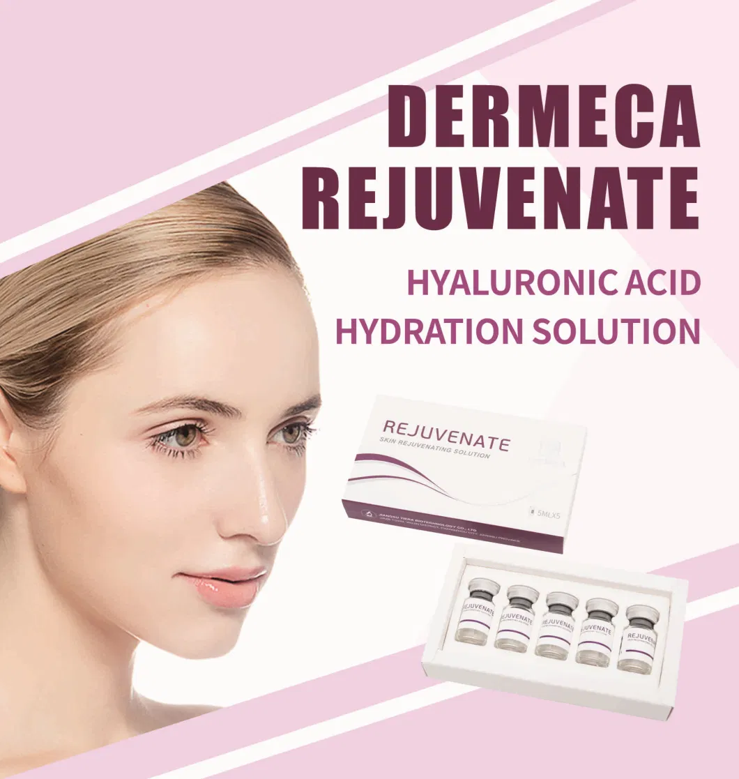 Hyaluronic Acid Serum Skin Whitening Serum Skinbooster Mesothearpy Injectable by Dermapen