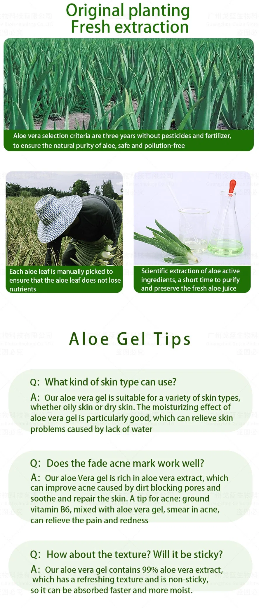 Factory Anti Wrinkle Aloe Vera Gel Face Skin Moisturizer