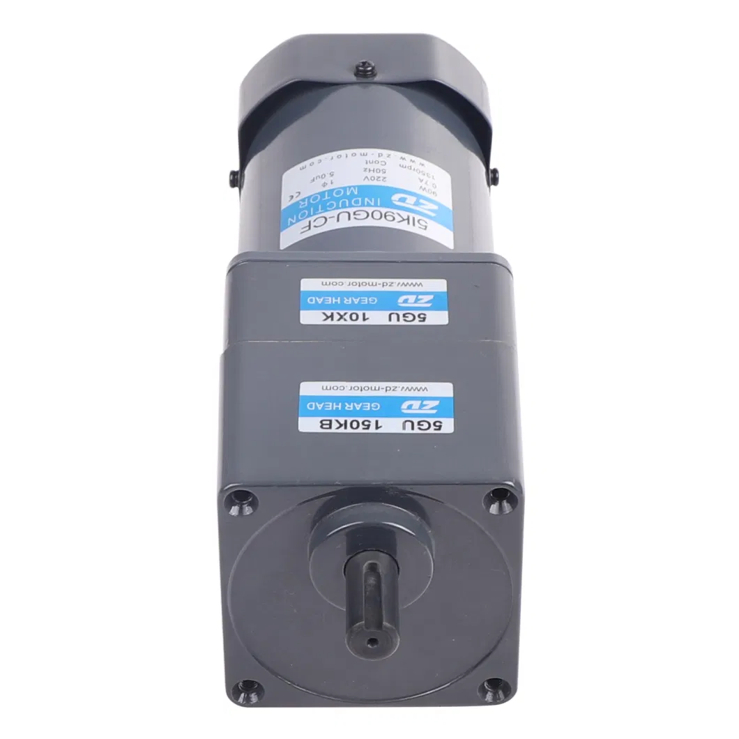 110V/220V 90W Electric Induction AC Gear Motor