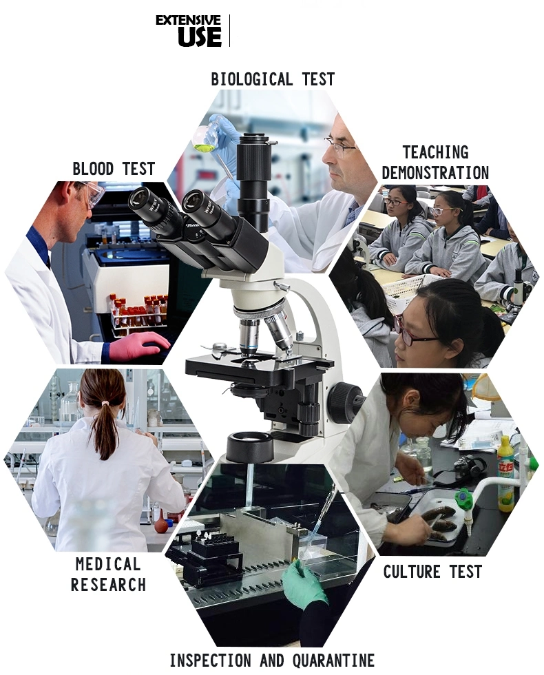 40X-1600X Trinocular Microscope with Camera Digital Microscope with 9/9.7 Inch Display