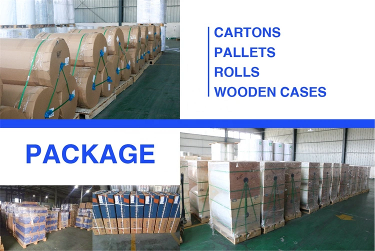 Henan Jinzhi Electrical Insulation Cable/Kraft/Capacitor/Pressboard Paper for Transformer Barley/Fish/Crepe Paper for Motors