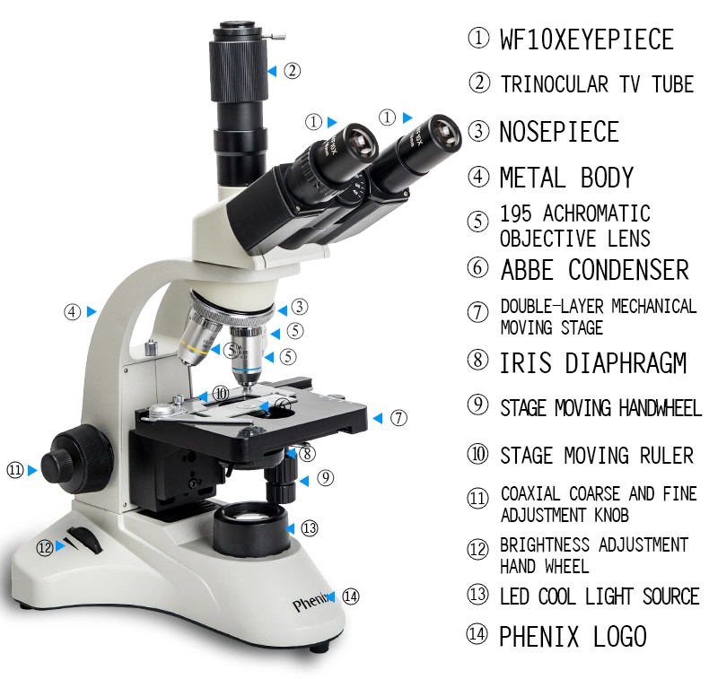 40X-1600X Trinocular Microscope with Camera Digital Microscope with 9/9.7 Inch Display