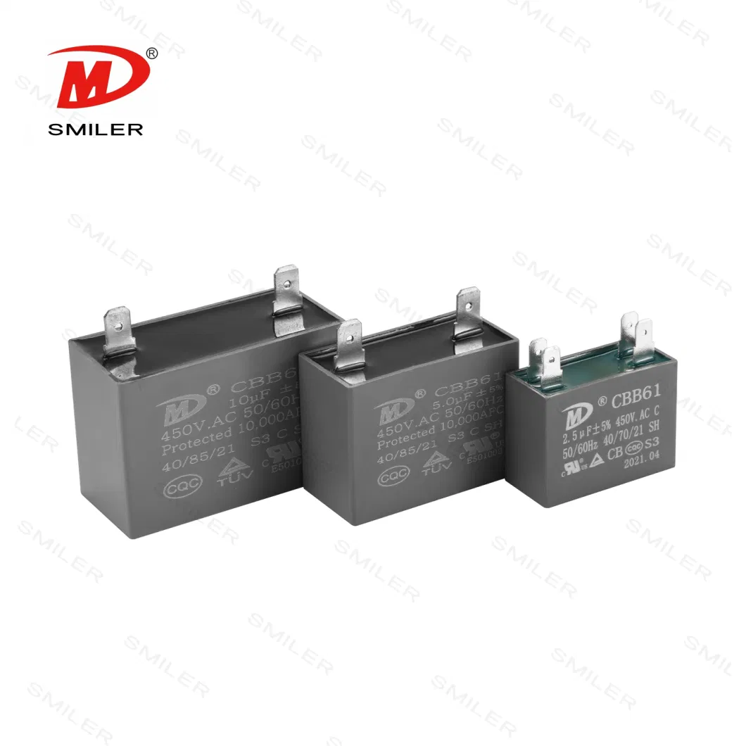 Cbb61 Series Metallized Polypropylene Film Capacitor 400V 2UF 4UF with Pins