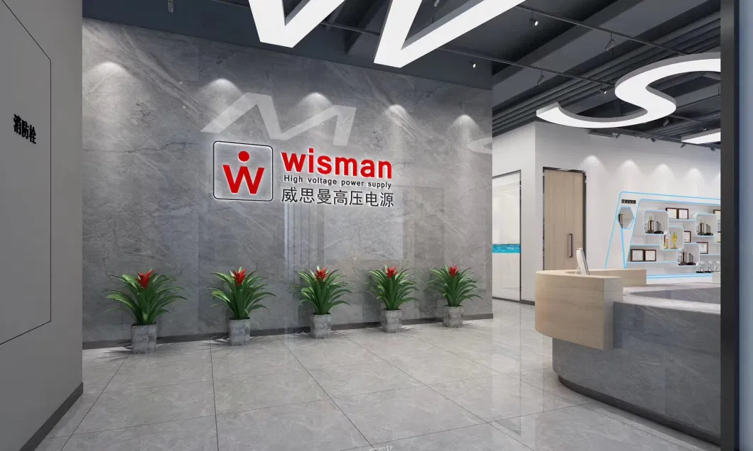 Wisman in China PMD Series Modules High Efficiency for Capacitor Discharging