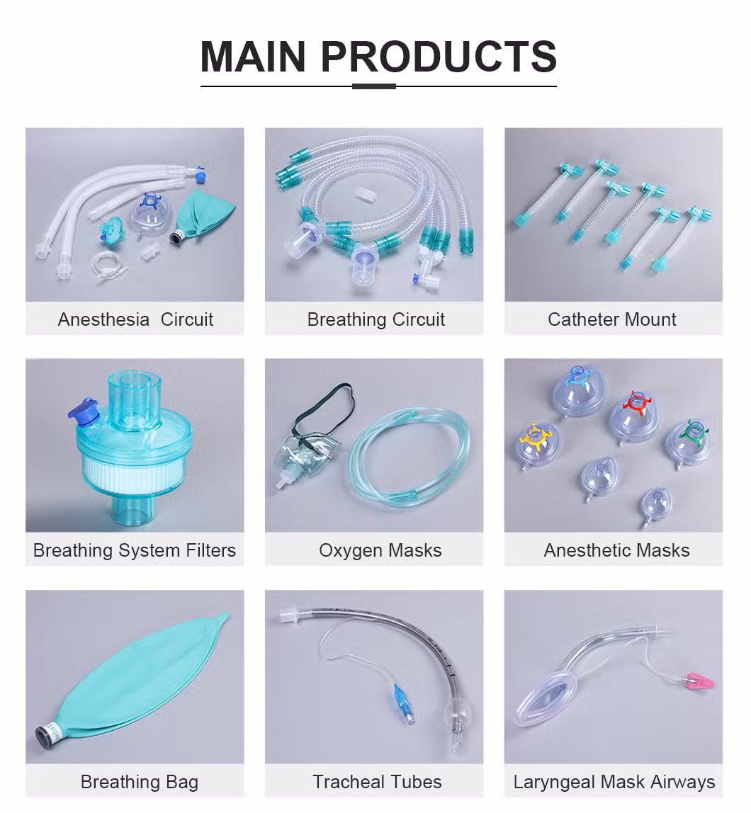 Factory Direct Sale Medical Machine Medical Products PP Material Hme Filter Adult with Label Around for Anesthesia &amp; Respiration System