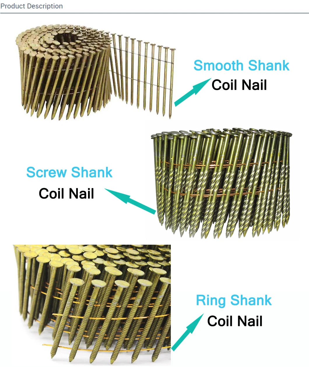 Screw Shank Ring Shank Coil Nails Coil Roofing Wire Nails Factory