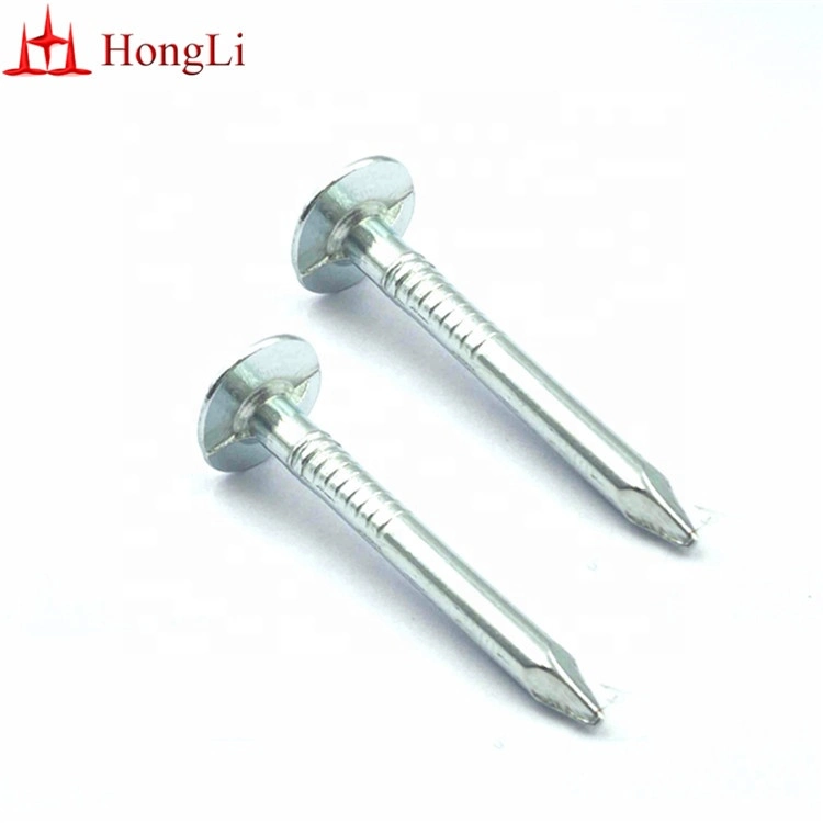 32mm Electro Galvanized Clout Nails Cupper Nails for South Africa Market