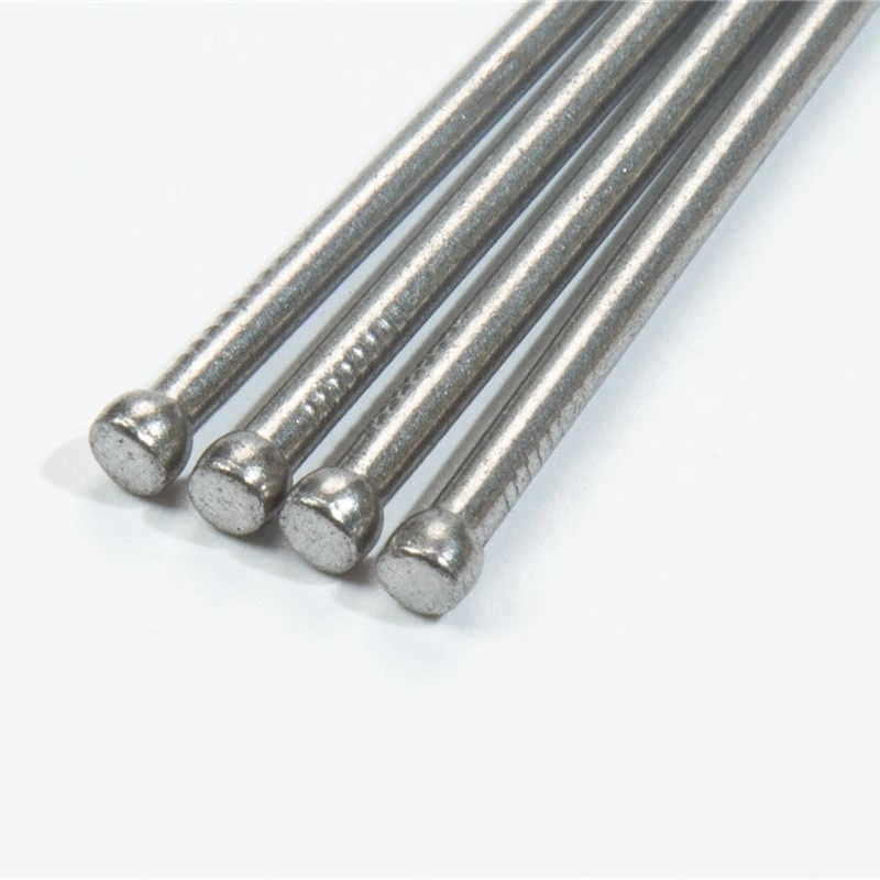 Hot Dipped Galvanized Headless Nail with Competitive Price