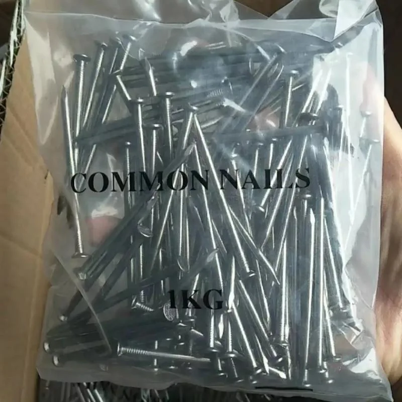 Nice Price High Quality Common Steel Nails with Bright Smooth Shank