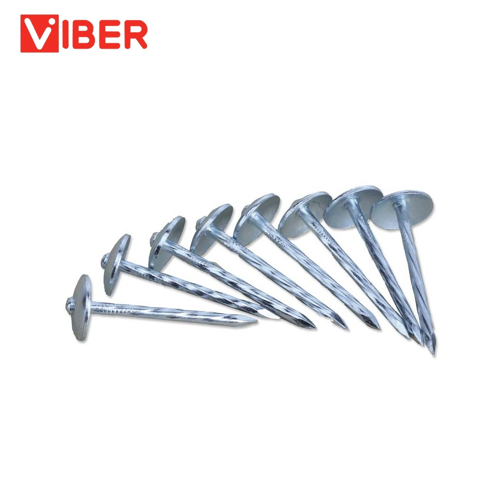 Xi&prime;an Factory Q195 Galvanized Umbrella Head Smooth/Twist Shank Roofing Nails