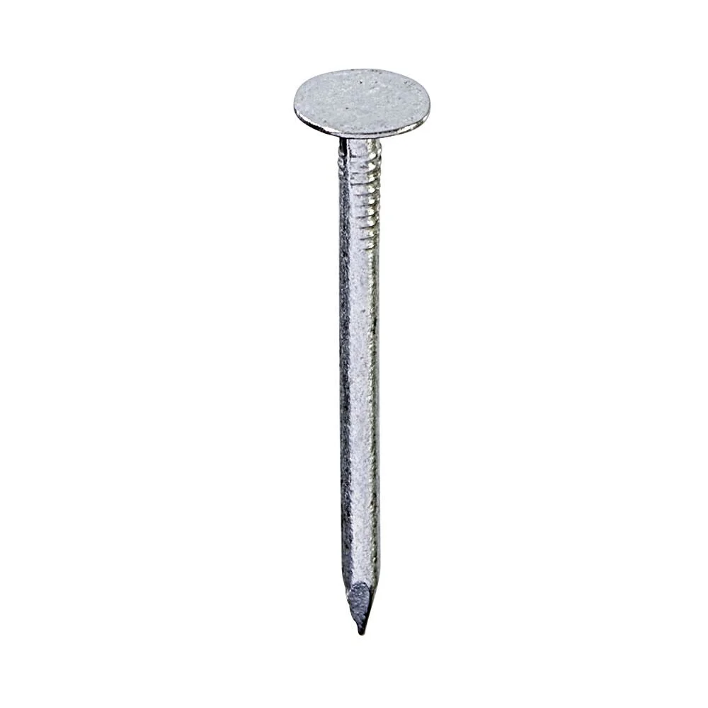 Clout Nail Big Round Head Galvanized Smooth/ Twist Shank