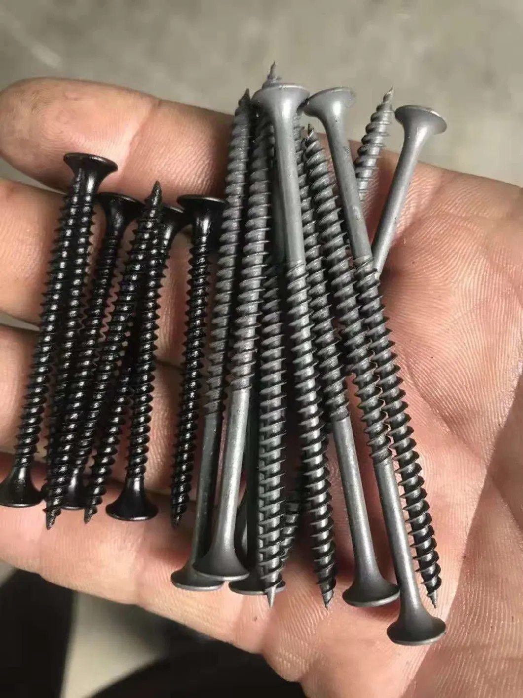 Bugle Head Self Drilling Drywall Screws with Philip Drive