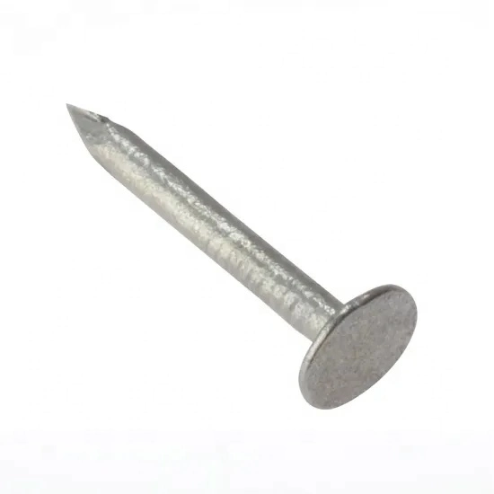 Hot Dipped Twisted Shank Galvanized Umbrella Head Roofing Nails