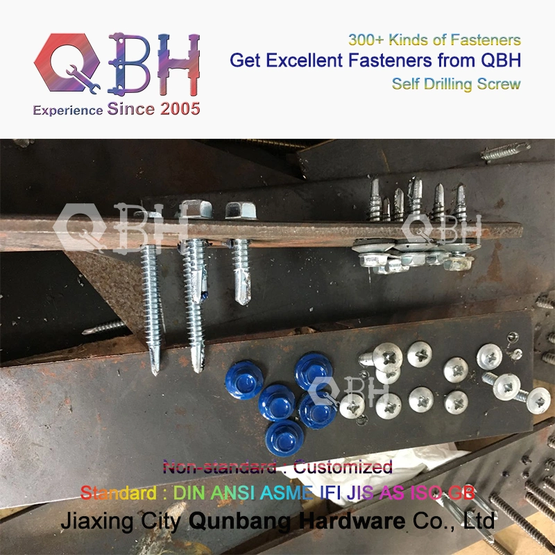 Qbh Plain/Black/HDG/Dacromet/Geomet Roofing Self Tapping Drilling Screw Machine Machinery Machining Maintaining Repairing Replace Replacement Spare Parts