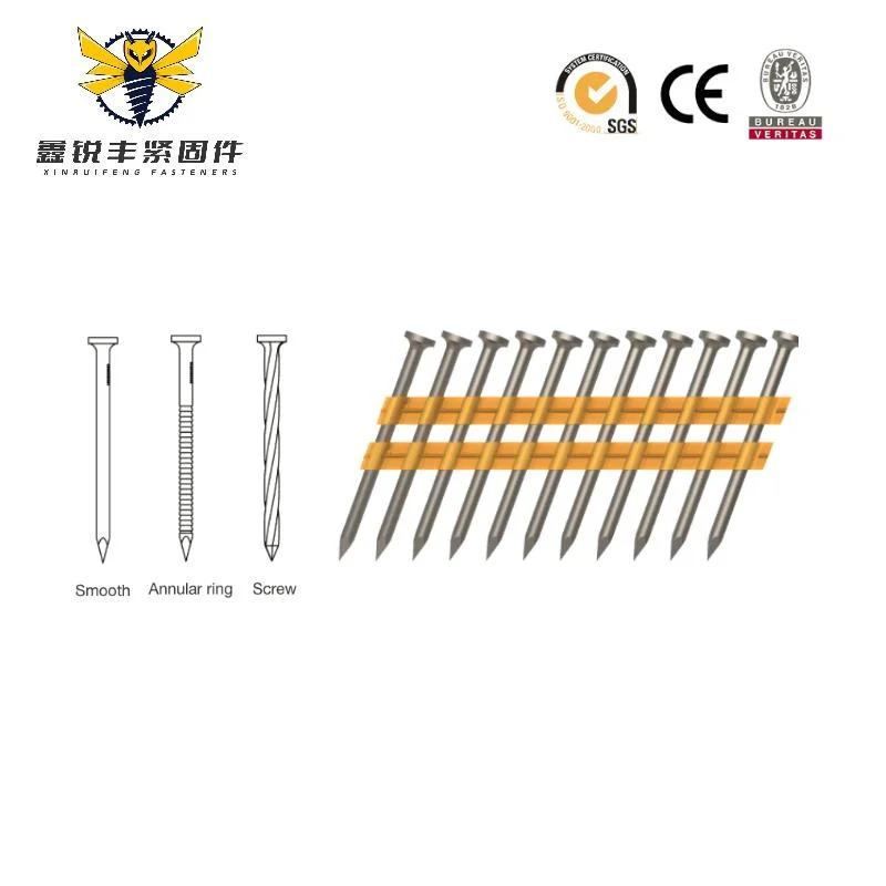 Factory Price Round Head Zinc Plated Ring Shank 21 Degree Plastic Strip Collated Nail