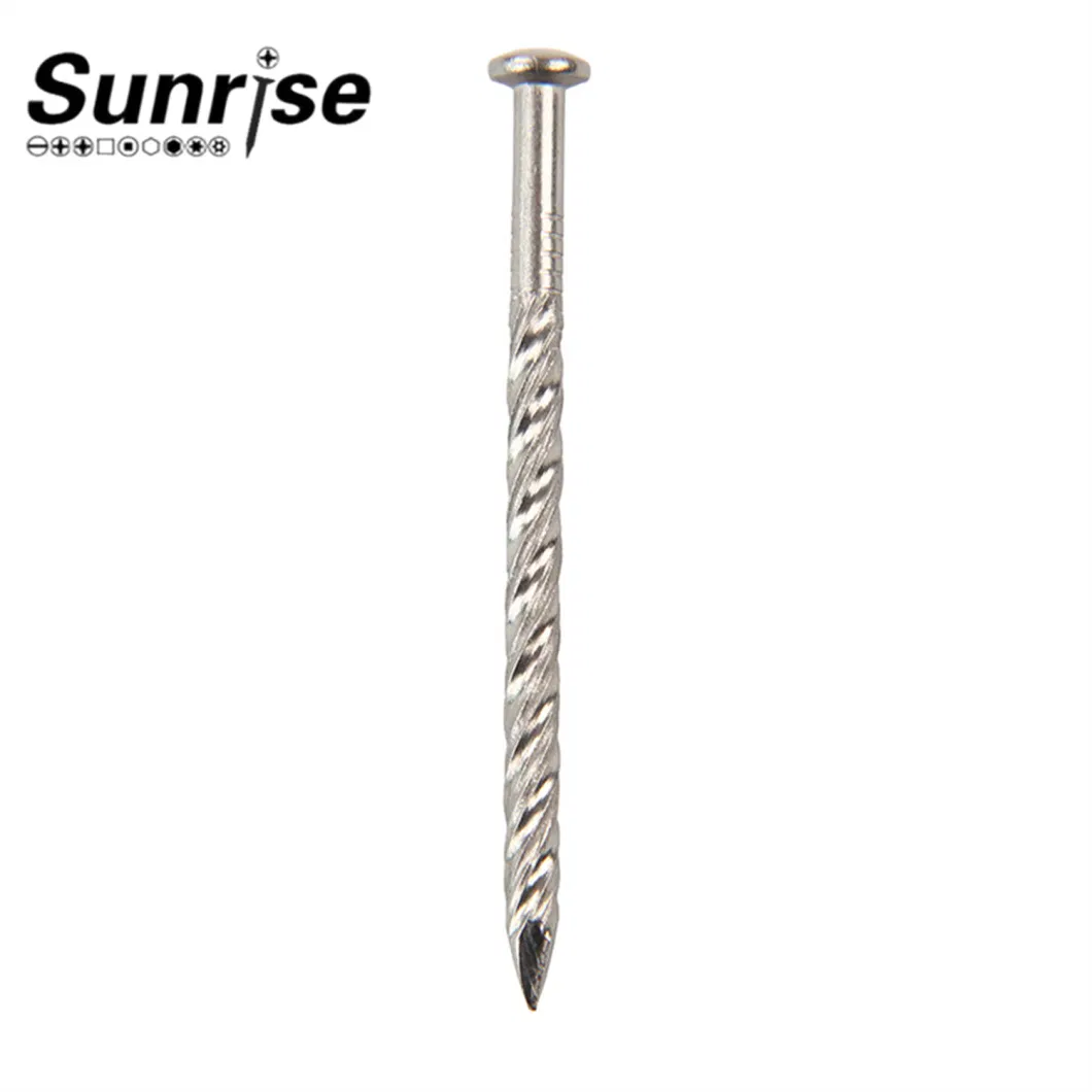 Various Head Types Stainless Steel Loose Nails Screws