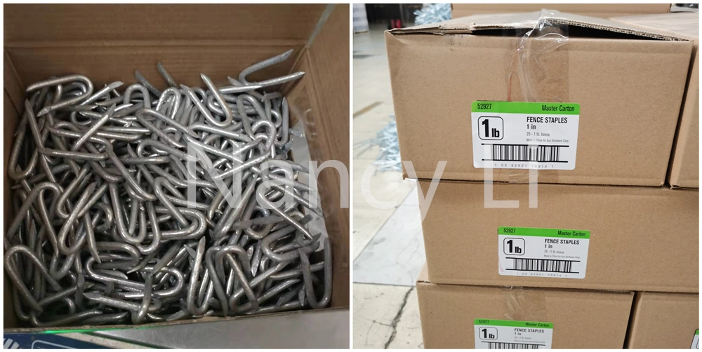 2.8X25mm Electro Galvanized Fencing Staples U Type Nails 500g Bag