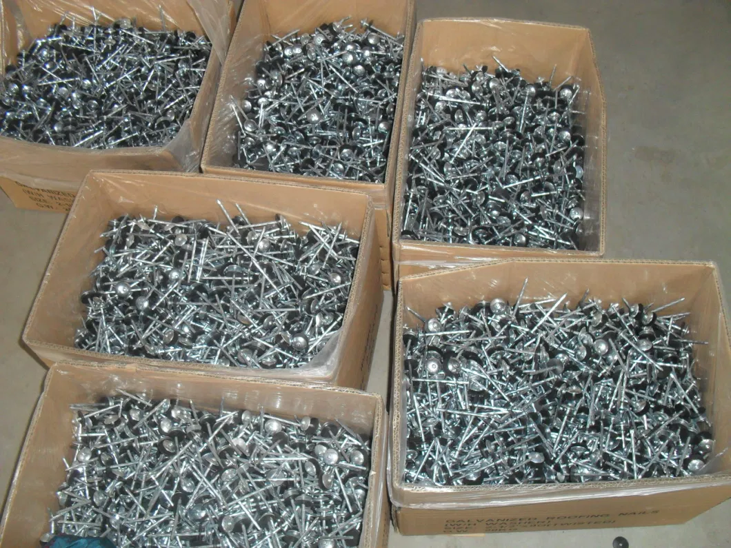 China Wholesale Galvanized Smooth / Twisted Shank 9bwg X 2.5&quot;10bwg X 2&quot; 12bwg 7lbs 8boxes 3.125kg / Box Umbrella Head Roofing Nails