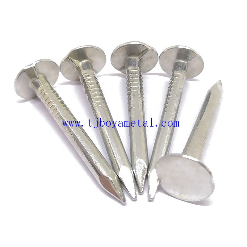 1/2&prime;&prime;/1&prime;&prime;/1 1/4&prime;&prime; Big Flat Head Clout Roofing Iron Nail