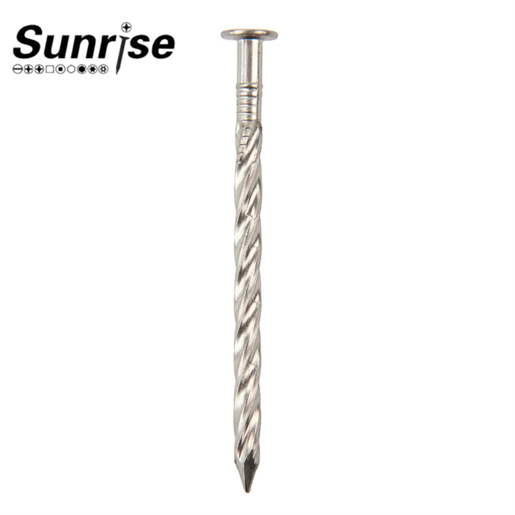 Various Head Types Stainless Steel Loose Nails Screws