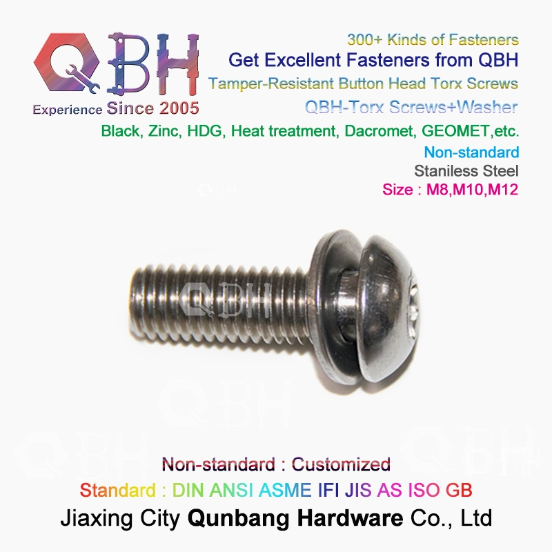 OEM Stainless Steel Ss 304 316 Flower Word Torx Mushroom Button Head Tamper-Resistant Machine Security Screw with Flat/Spring Plain Washers