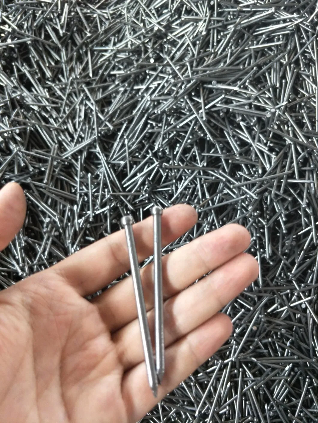 Good Quality Polished or Galvanized Jolthead Nail / Headless Nail / Finishing Nail / Furniture Nail From Tianjin Manufacturer 1&prime;&prime;