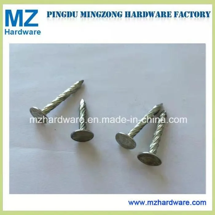 China Outlet Galvanized/Copper Flat Roofing Head Clout Nail