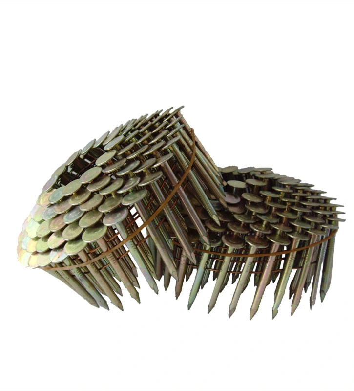 Cupper Nails OEM Clout Nails Screws Iron Nails From Guangzhou Supplier