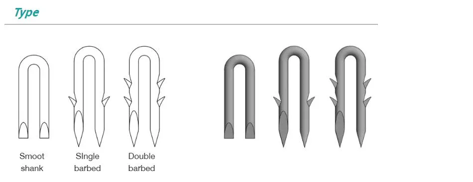 Galvanized U Type Nails for Farm Barbed Fence Staple