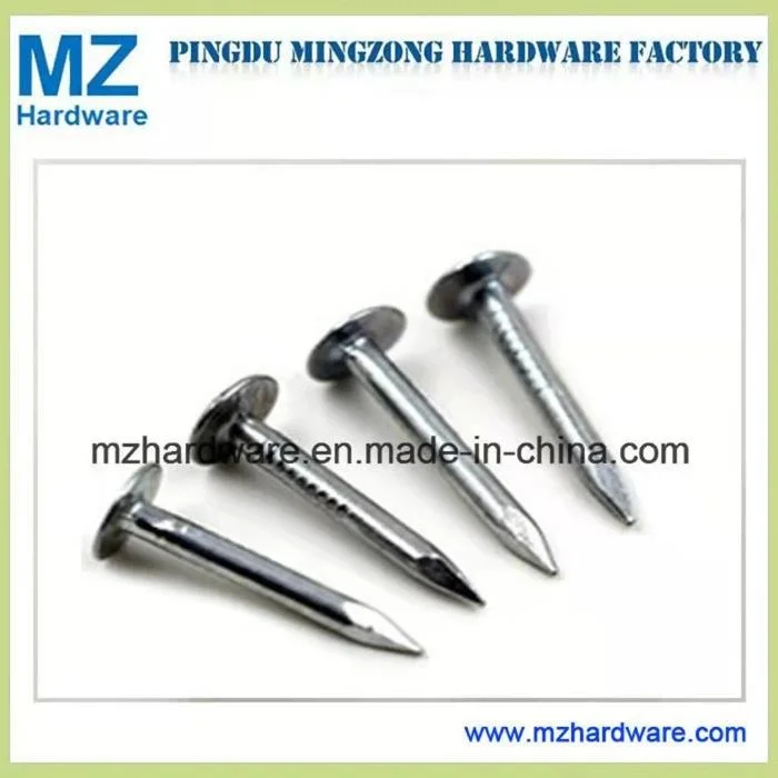 China Outlet Galvanized/Copper Flat Roofing Head Clout Nail