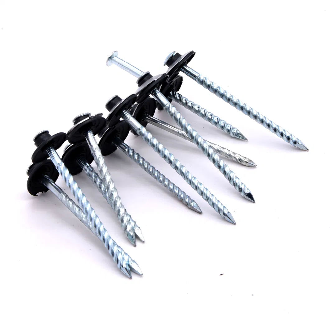 Angola Zambia Namibia Market/Galvanized Umbrella Head Roofing Nails Good Quality Roofing