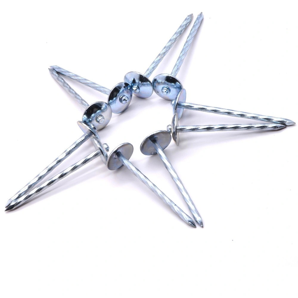 Angola Zambia Namibia Market/Galvanized Umbrella Head Roofing Nails Good Quality Roofing