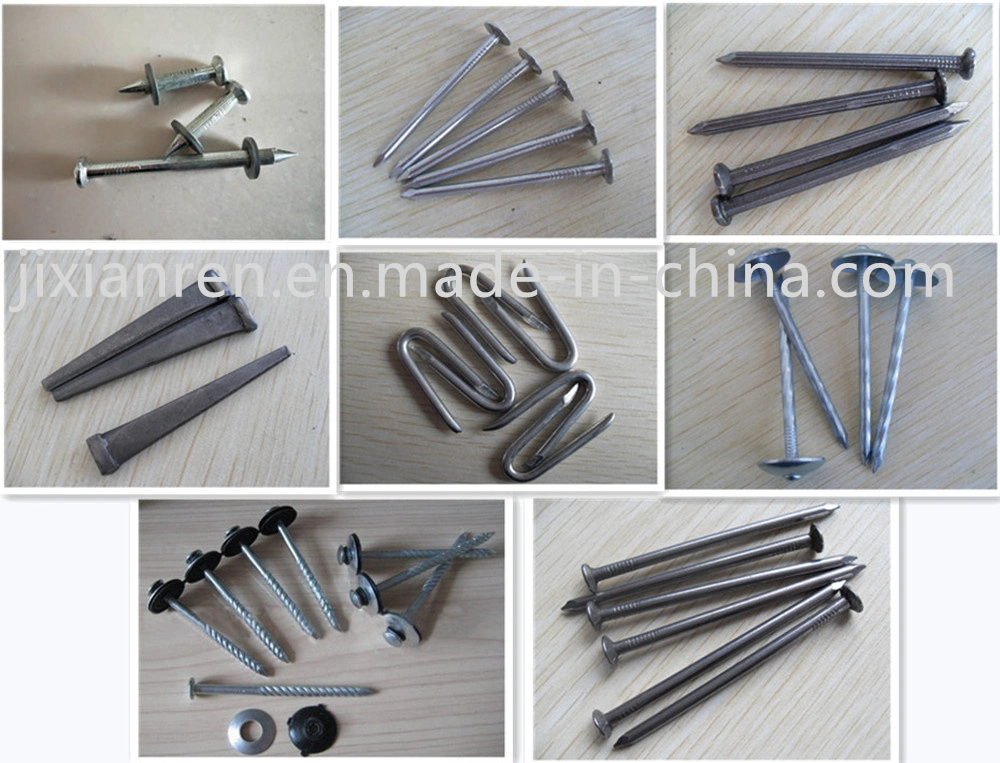 Polished Coil Pallet Nail with Ring Shank