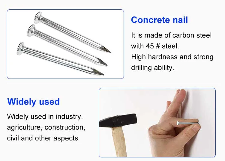 High Carbon Steel Galvanized Concrete Nails for Construction