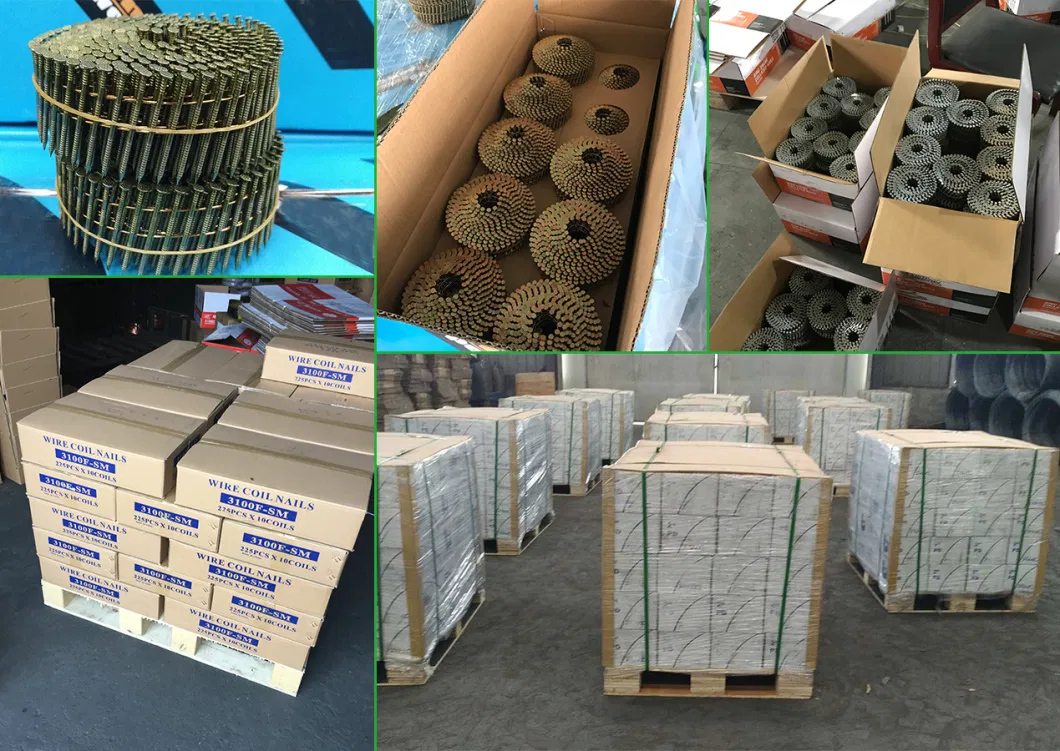 15 Degree Galvanized Coil Nails for Epal Pallets