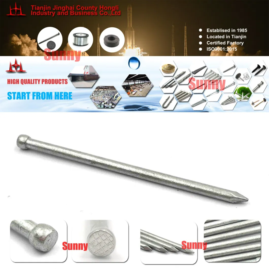 Galvanized Australian Market Jolt Head Nail/Headless Nail/Polished Headless Nail/Iron Nail Without Head/Common Nail Without Head