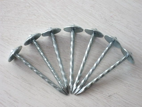 Umbrella Head Twist Shank Galvanized Roofing Nail with Washer (BWG9*3&quot;)