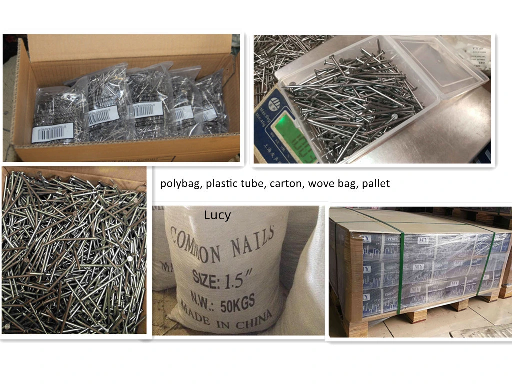 4D to 20d Electro Galvanized Common Round Wire Nails with 25kg Box