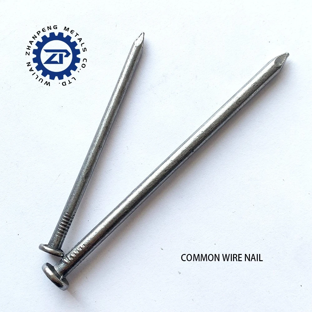 Origin China, Ordinary Nails/Iron Nails/Polished Wire Nails/Ordinary Round Nails/Roofing Nails/Wooden Nails