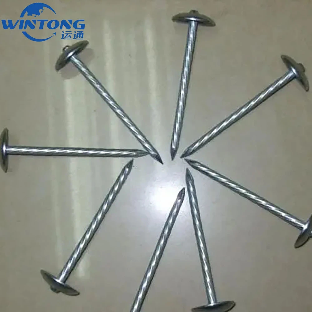 Twist and Straight Shank Iron Nail