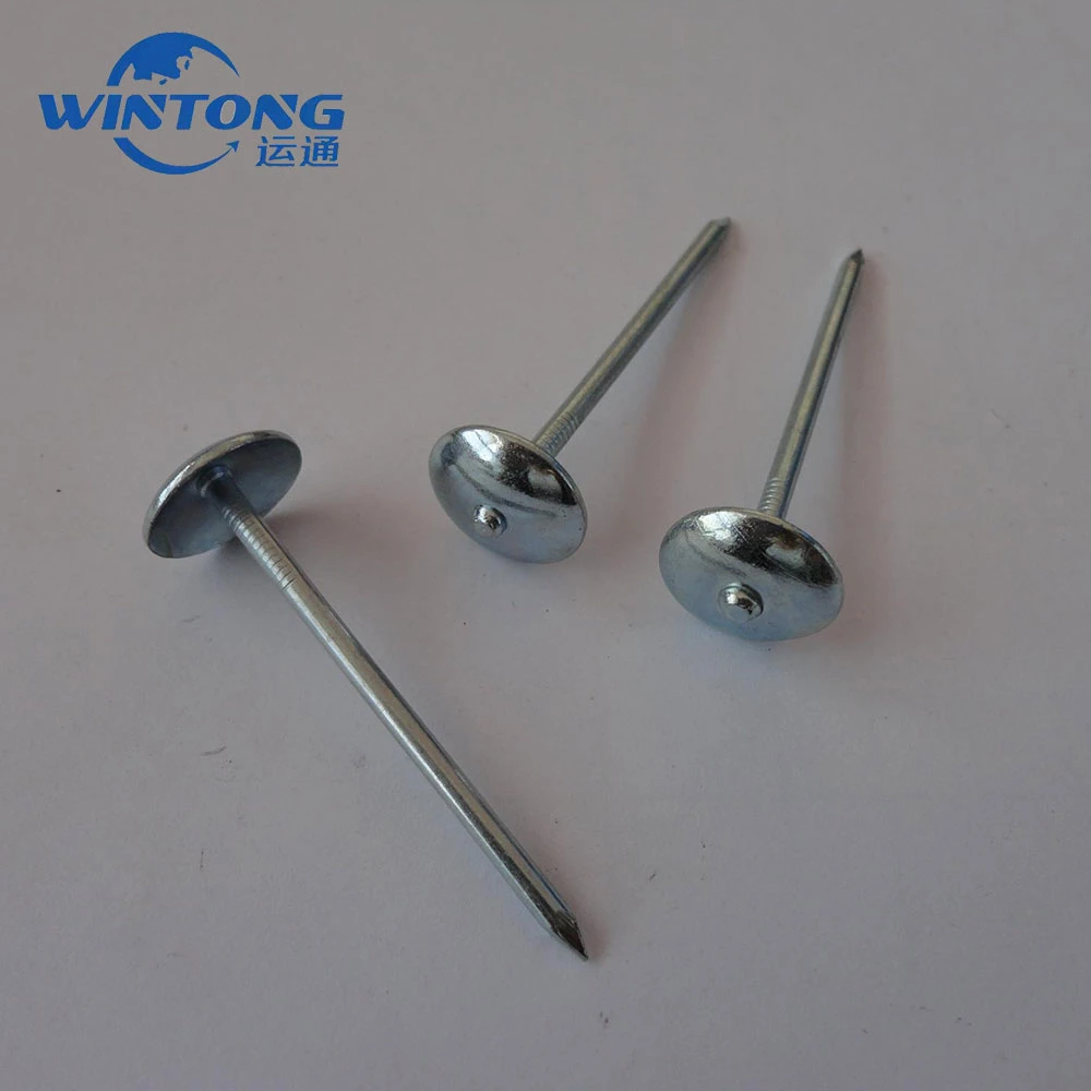 Twist and Straight Shank Iron Nail