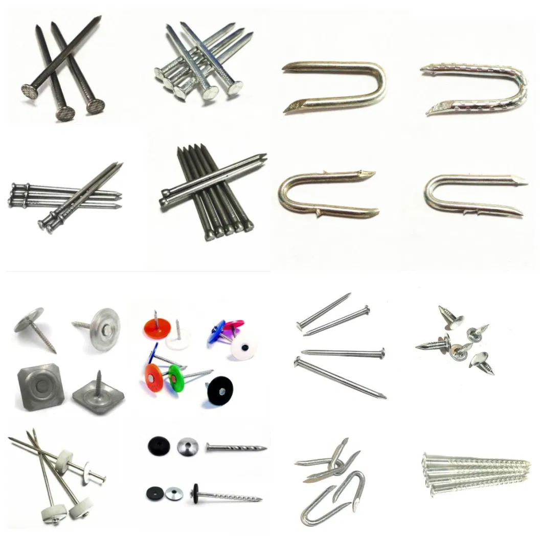 Building Material Flat Head Steel Iron Wire Wood Common Framing Nails