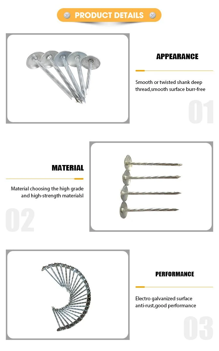 China Electro Galvanized Roofing Nail Screws Twisted Shank Screw Nail with Rubber Washer Zinc Twist Roofing Nails