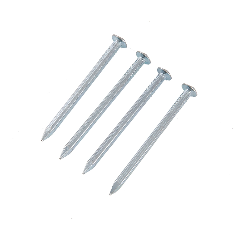 Singapore Market/China Wholesale Zinc Galvanized Steel Square Shank Boat Nails