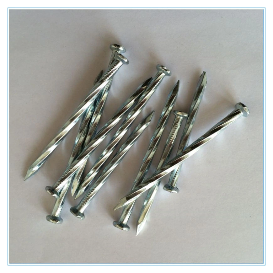 45# 55# High Quality Steel Angular Concrete Nail with Various Shank Screw/Twist/Smooth Shank