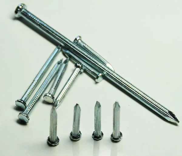 45# 55# High Quality Steel Angular Concrete Nail with Various Shank Screw/Twist/Smooth Shank