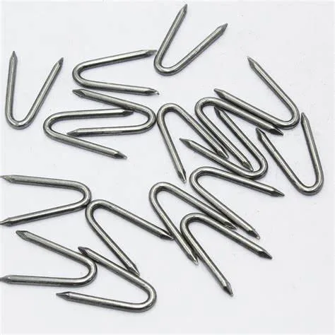 Fence Staple Nail/U Type Nail/U Fencing Nail for Farm Constructions Smooth and Barbed Shank