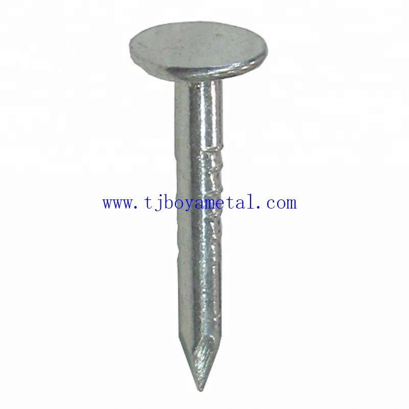 1/2&prime;&prime;/1&prime;&prime;/1 1/4&prime;&prime; Big Flat Head Clout Roofing Iron Nail