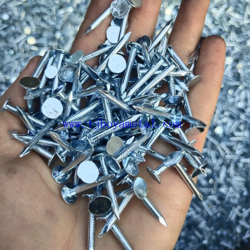 1/2&prime;&prime;/1&prime;&prime;/1 1/4&prime;&prime; Big Flat Head Clout Roofing Iron Nail