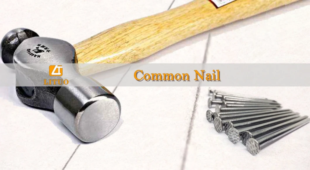 Common Round Wire Iron Nail, Polished Common Nail